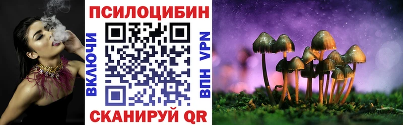 Купить где  Можайск  Галлюциногенные грибы GOLDEN TEACHER 